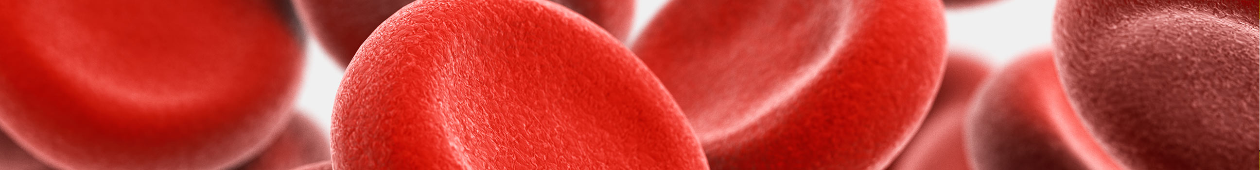 Employer value proposition